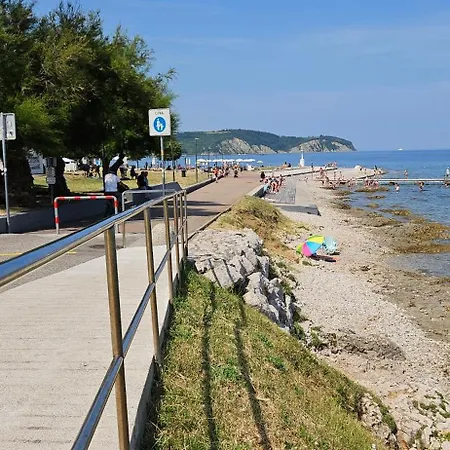 Laguna 23, 29 * 이졸라